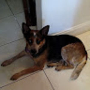 Meet your Posher, Pamela